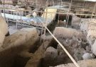 اختصاص ۱۵۰ میلیارد ریال برای بازسازی سایت باستانی شادیاخ نیشابور