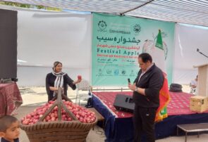 نخستین جشنواره سیب در شهر بار پایتخت سیب سرخ ایران برگزار شد