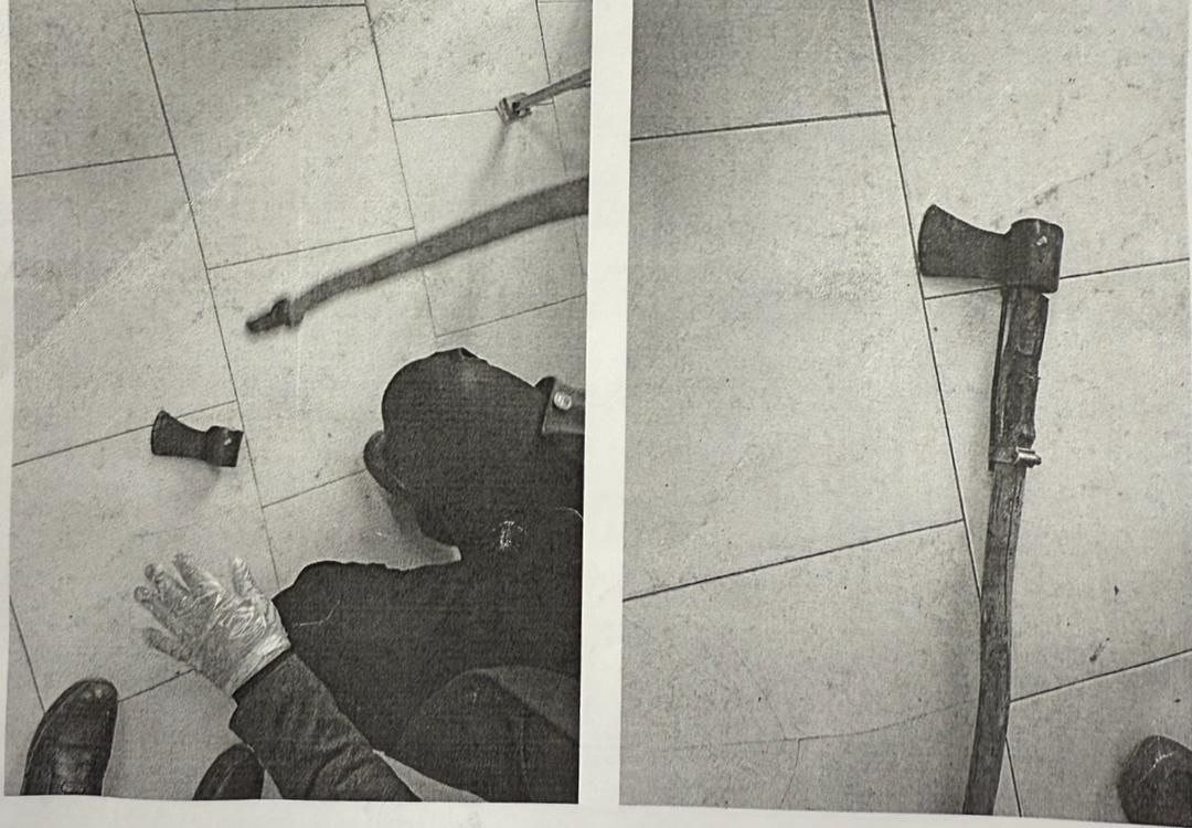 انتقام مادرانه