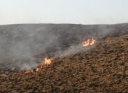 شعله‌های بحران در ارتفاعات بینالود/ هشدار: سرعت بیابانی شدن اراضی نیشابور از میانگین کشوری بالاتر است