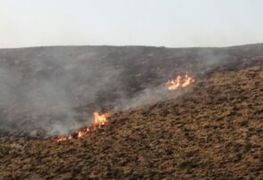 شعله‌های بحران در ارتفاعات بینالود/ هشدار: سرعت بیابانی شدن اراضی نیشابور از میانگین کشوری بالاتر است