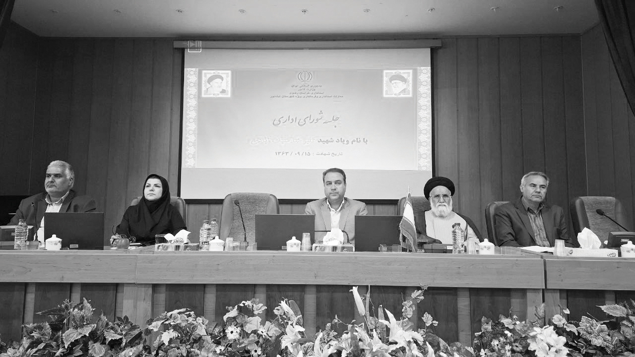 ۱۲درصد جمعیت نیشابور سالمند است